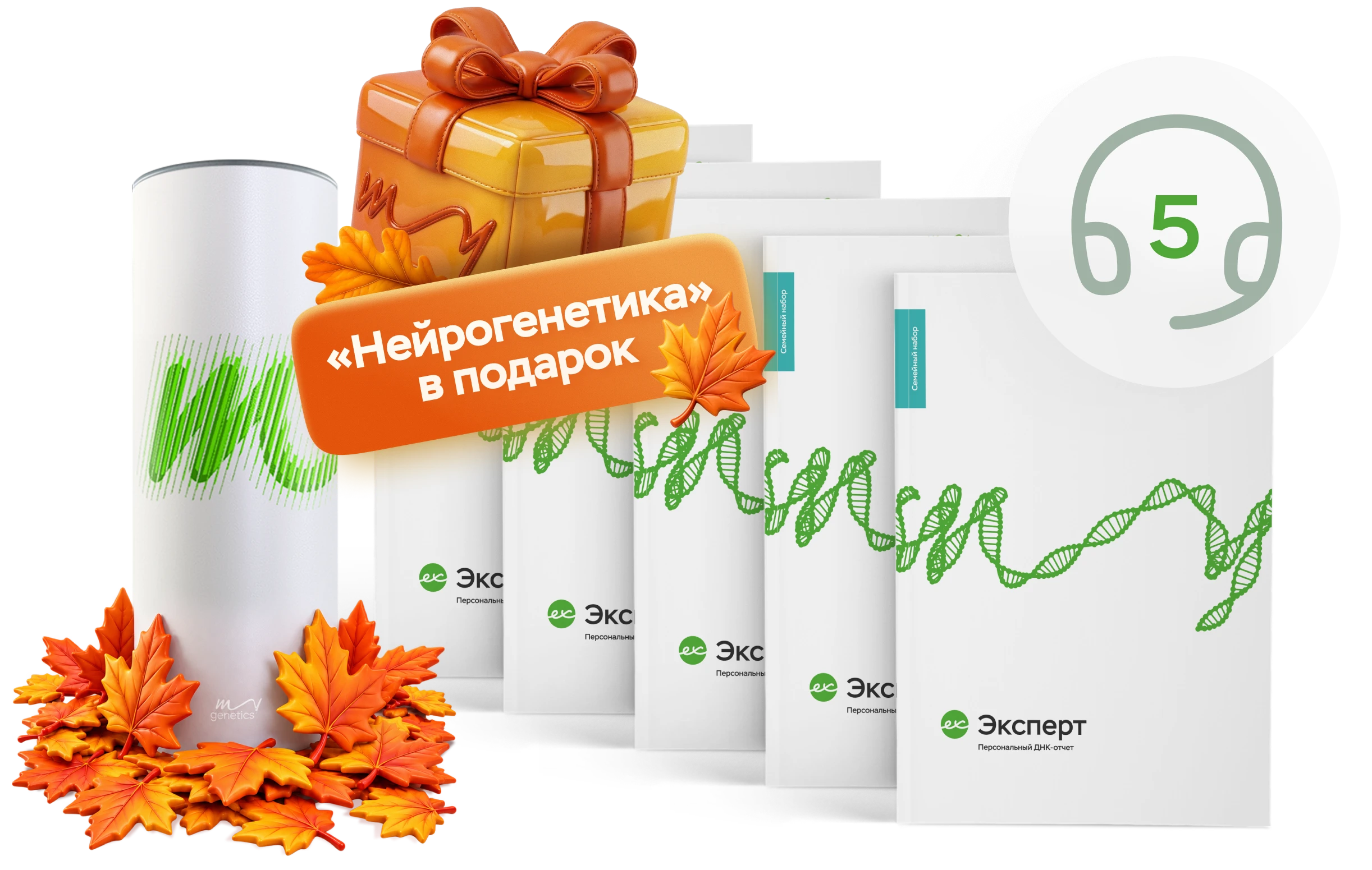 текст