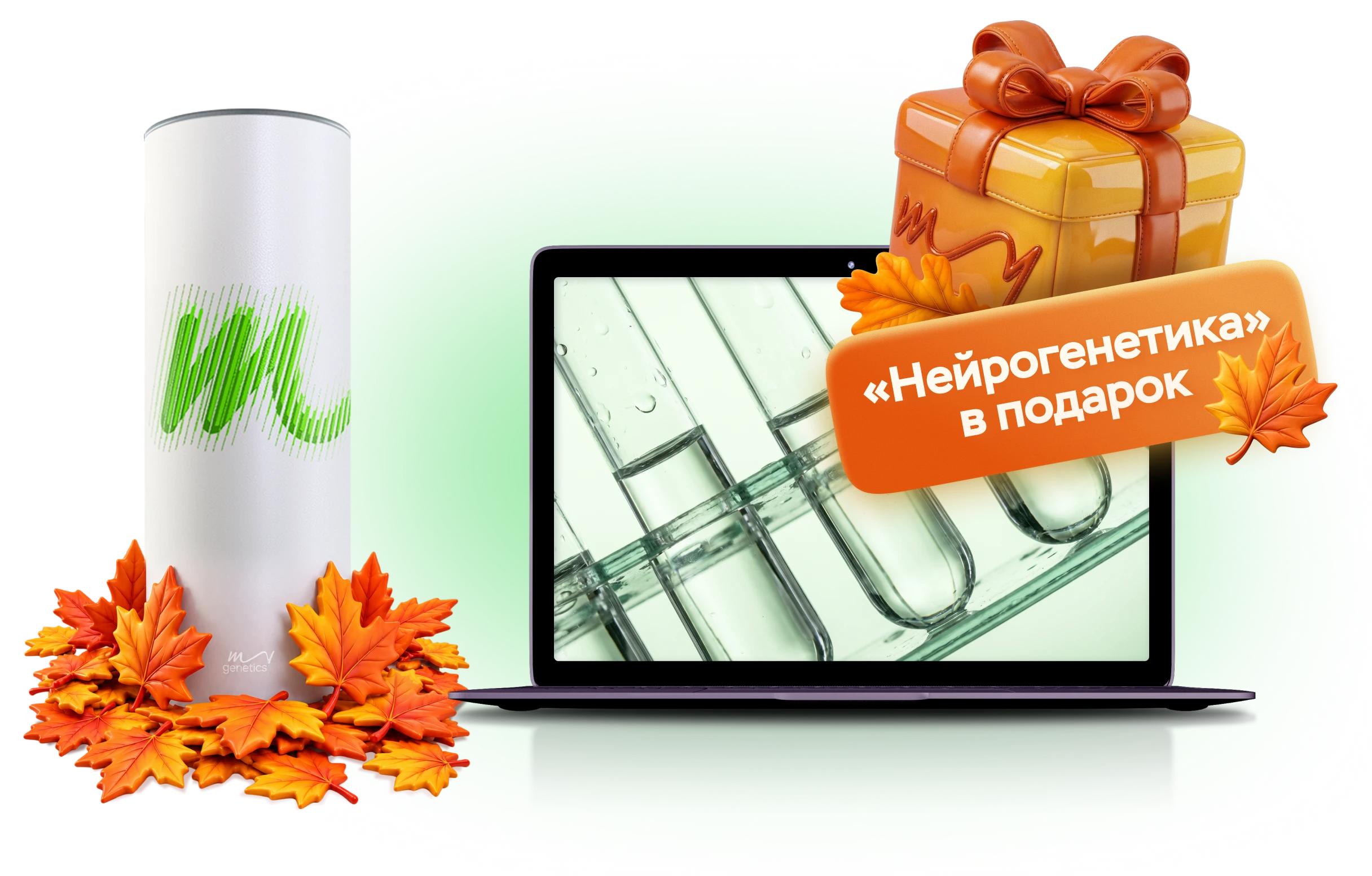 текст