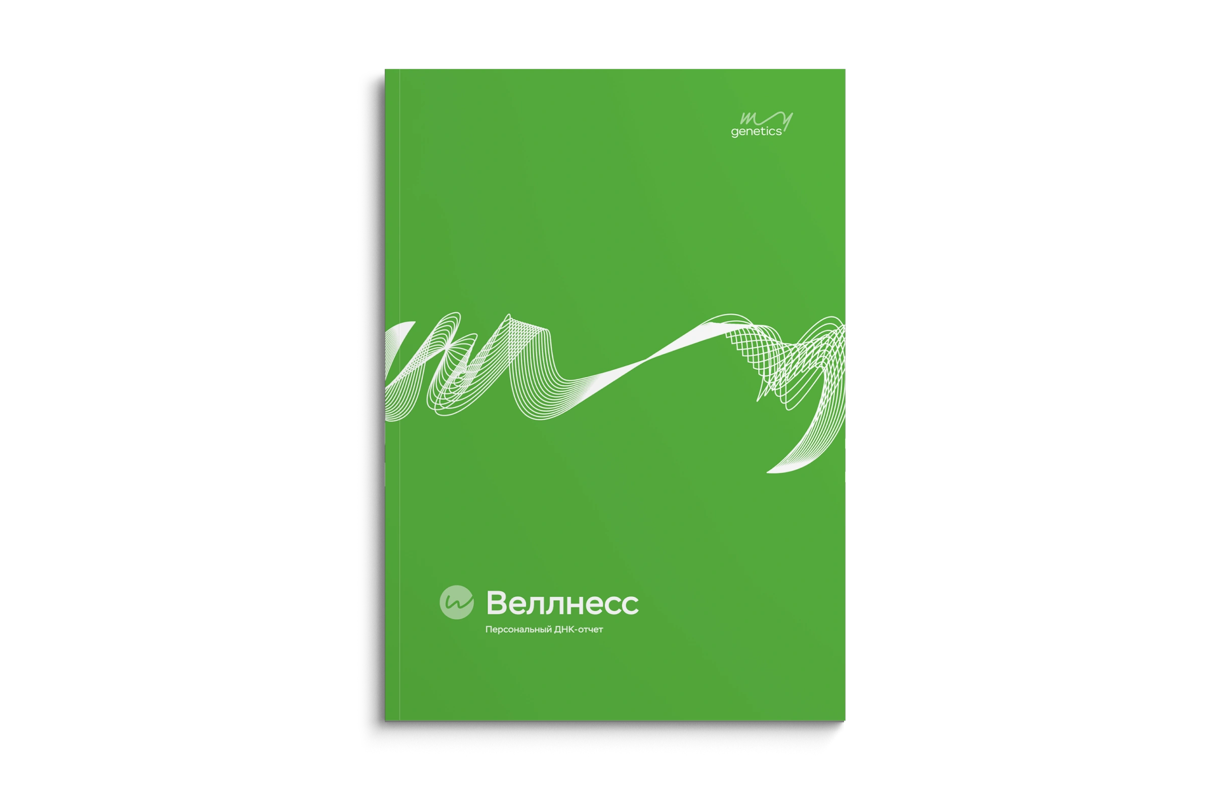 текст