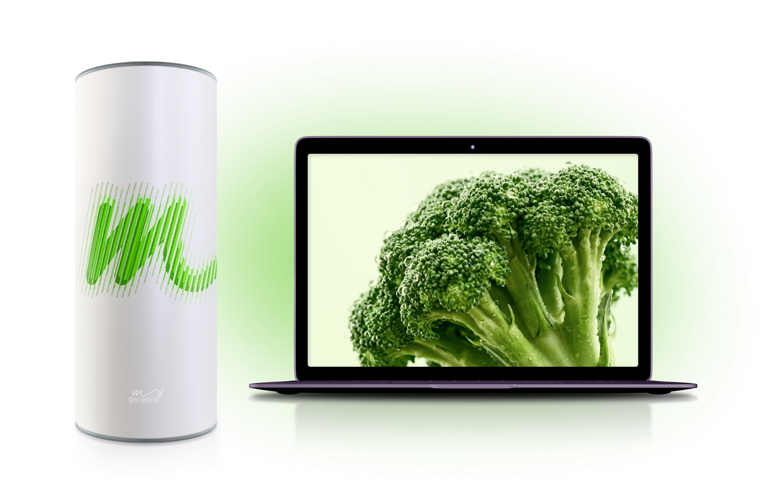 Веллнесс (MyWellness)