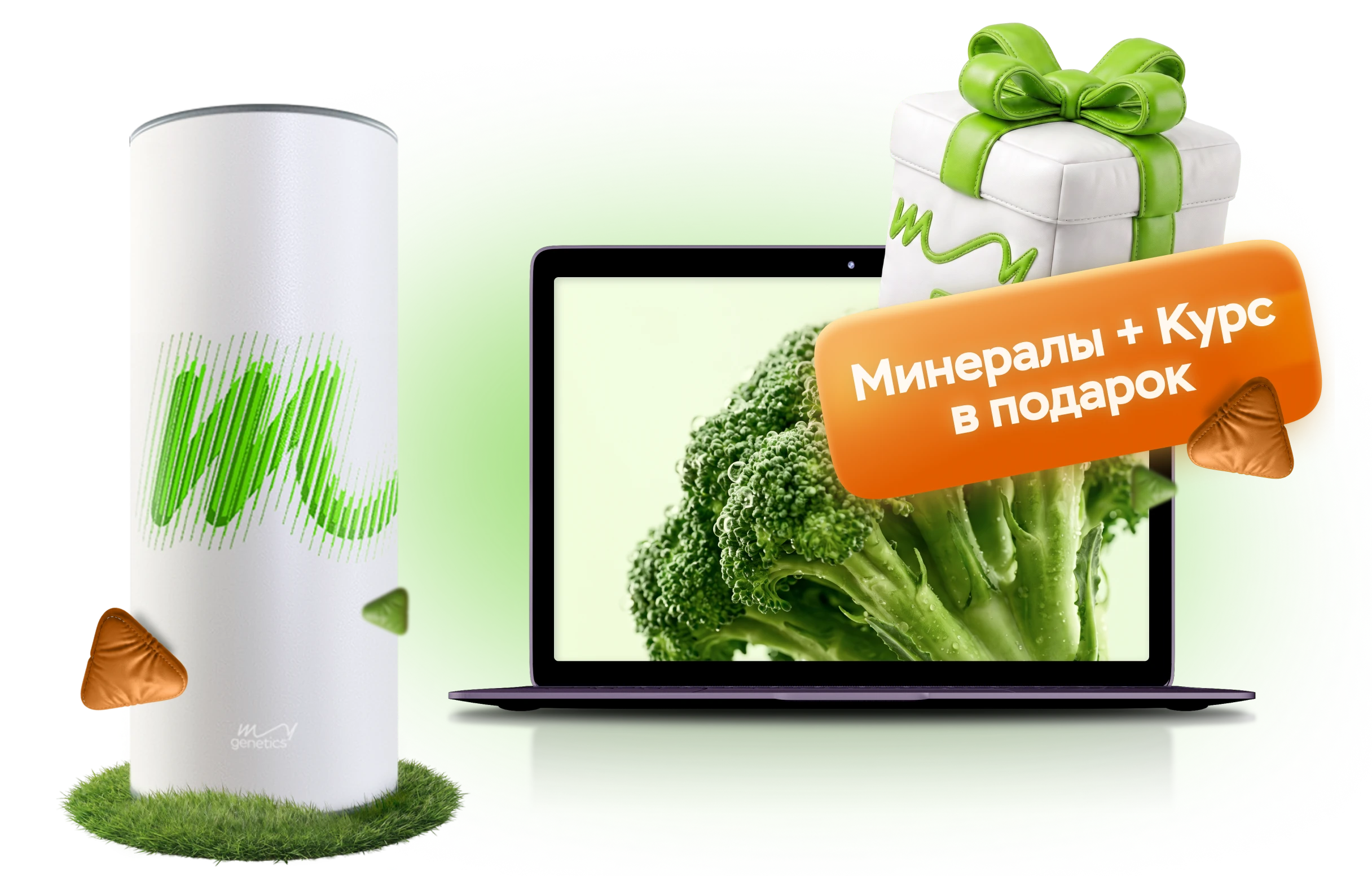 Веллнесс (MyWellness)