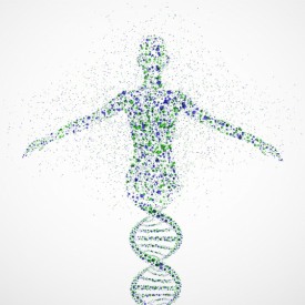 Генетика и эпигенетика: как активность наших генов изменяется в зависимости от пережитого опыта